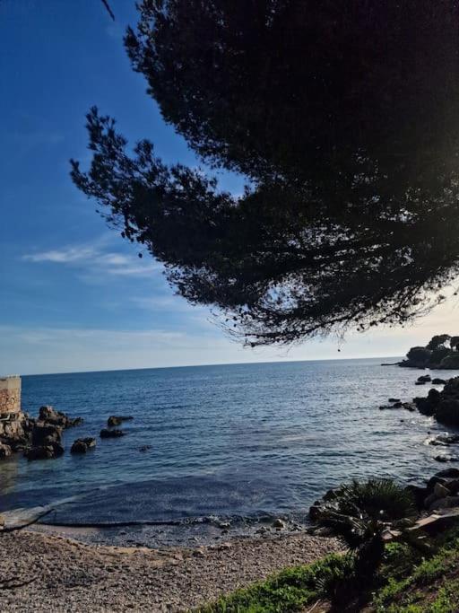 T2 Neuf, Parking Prive,Acces Mer Bandol Kültér fotó